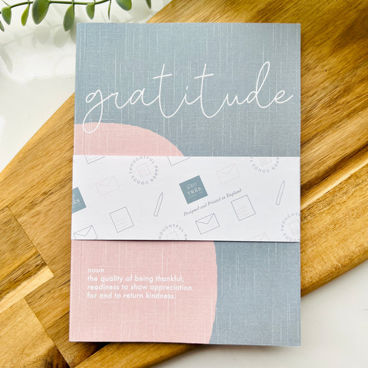 Gratitude Journal - 100 Days of Gratitude Guided Journal