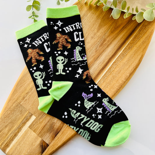 Introverts Club Women’s Socks